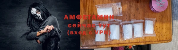 прущие грибы Зеленокумск