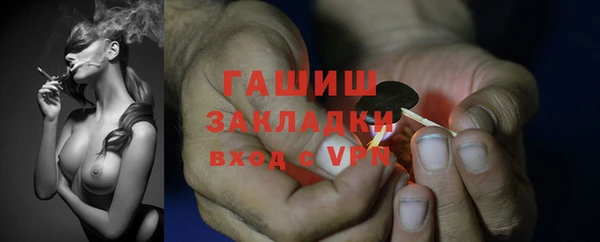 прущие грибы Зеленокумск