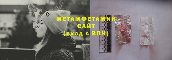 прущие грибы Зеленокумск