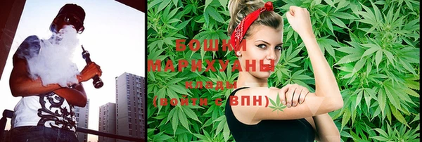 прущие грибы Зеленокумск