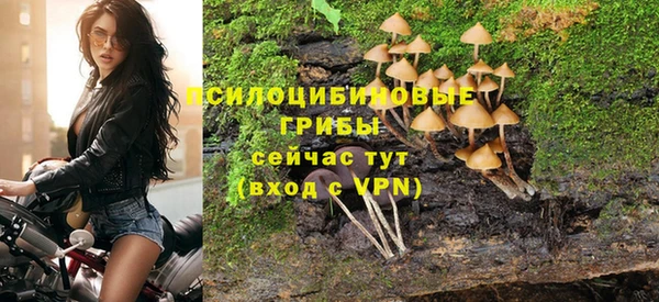 прущие грибы Зеленокумск