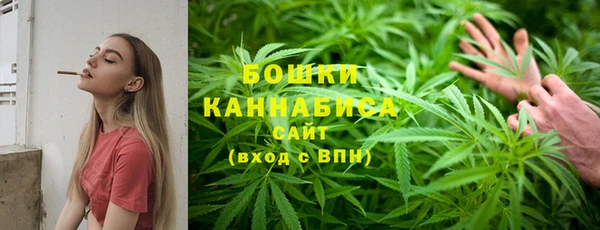 прущие грибы Зеленокумск